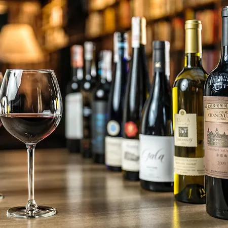 Resort Przystan Knezka I Wino Wygonin