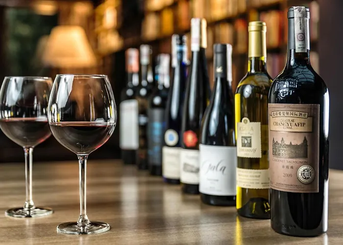 Resort Przystan Knezka I Wino Wygonin